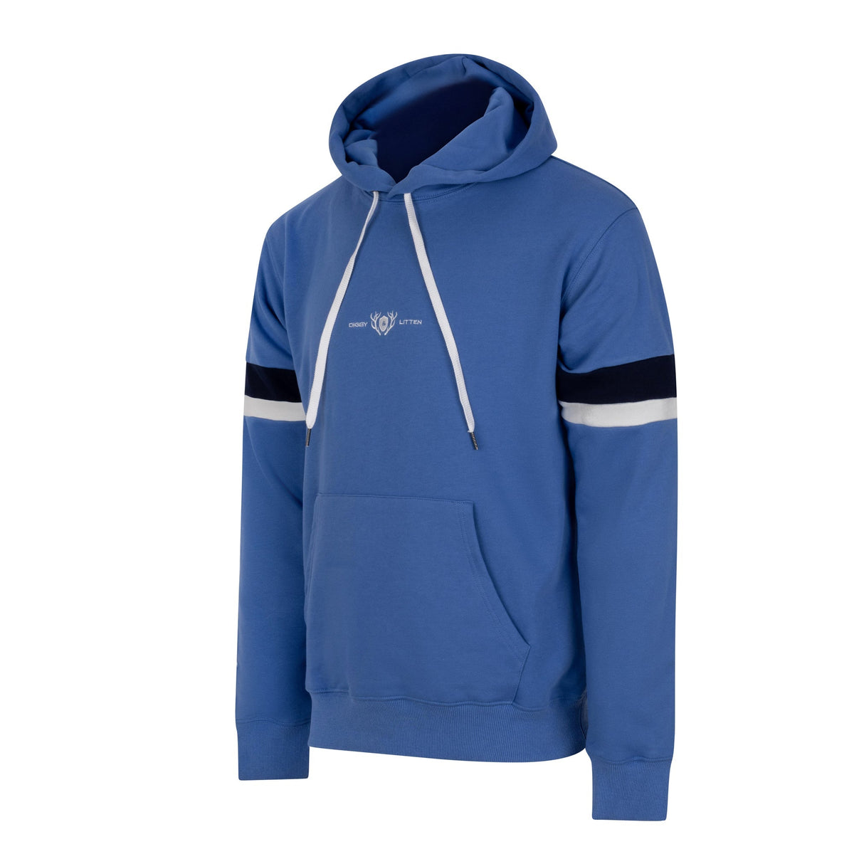 Digby &amp; Litten "Blues &amp; Bands" Hoodie — angled product view.